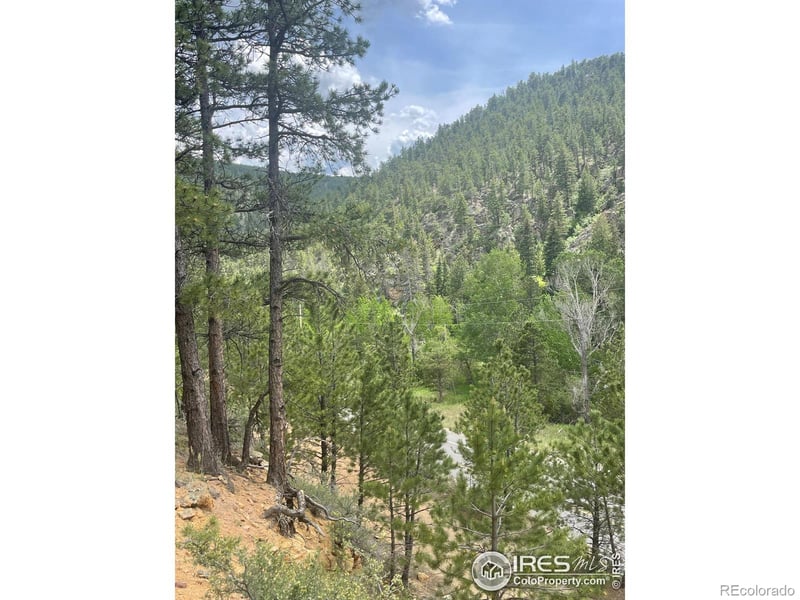 1111 Spruce Dr, Lyons, CO 80540