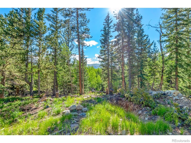 545 Adventure Rd Lot 11, Alma, CO 80420