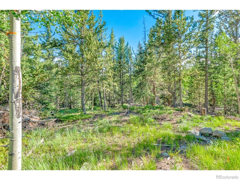 545 Adventure Rd Lot 11, Alma, CO 80420
