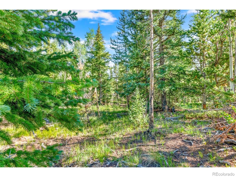 545 Adventure Rd Lot 11, Alma, CO 80420