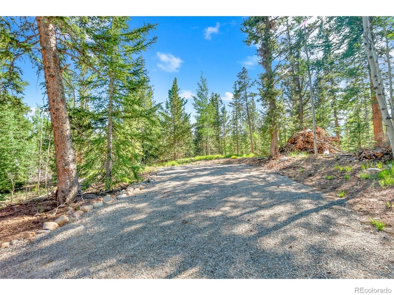 545 Adventure Rd Lot 11, Alma, CO 80420
