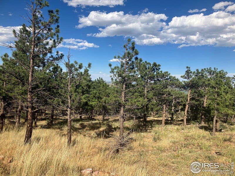 651 Quartz Way, Lyons, CO 80540