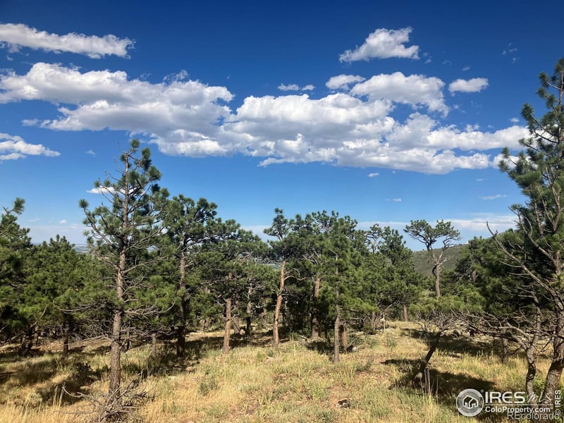 651 Quartz Way, Lyons, CO 80540