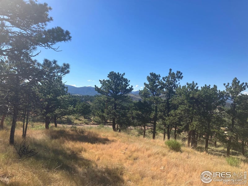 651 Quartz Way, Lyons, CO 80540