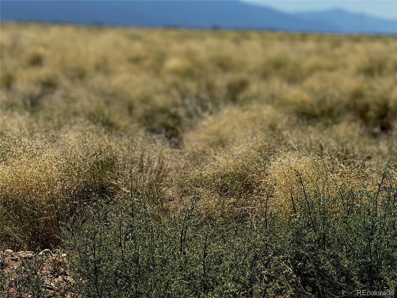 Lot 16 Ana Ave, San Luis, CO 81152