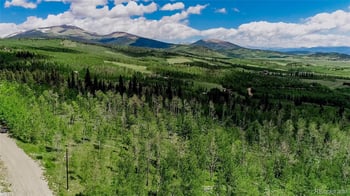 1047 Lumberjack Rd, Fairplay, CO 80440