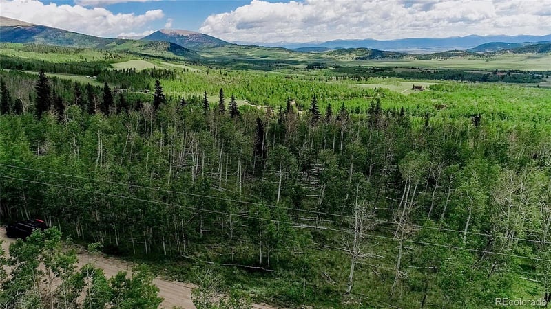 1047 Lumberjack Rd Lot 172, Fairplay, CO 80440