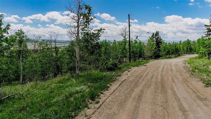 1047 Lumberjack Rd Lot 172, Fairplay, CO 80440