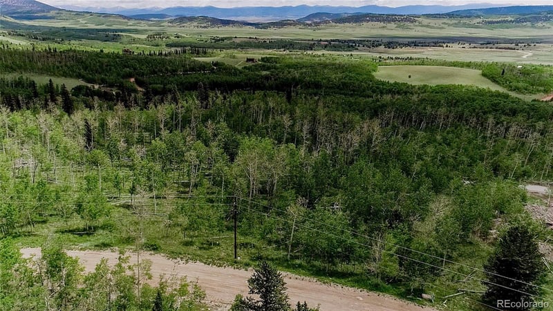 1047 Lumberjack Rd Lot 172, Fairplay, CO 80440