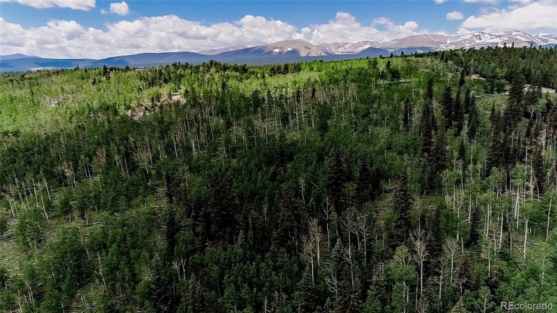 1047 Lumberjack Rd Lot 172, Fairplay, CO 80440