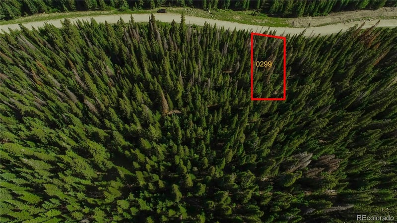 299 Cr 805 , Breckenridge, CO 80424
