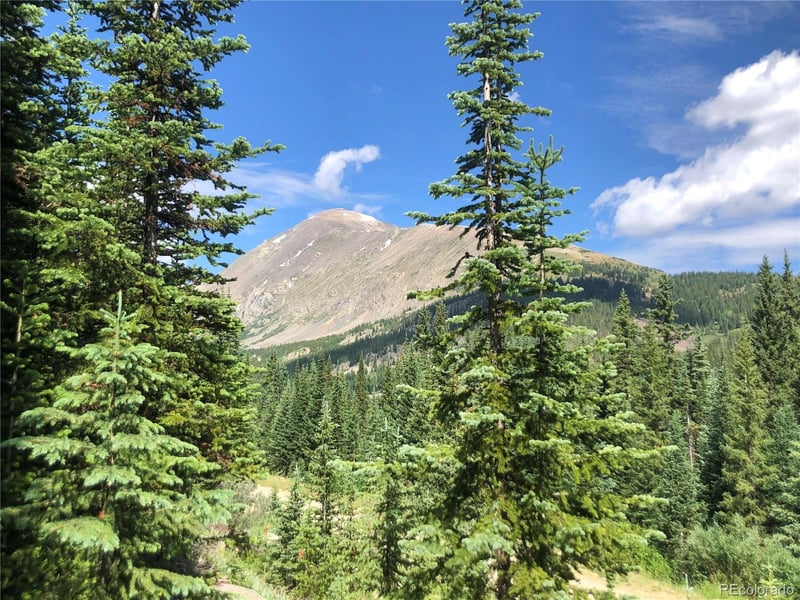 321 Cr 805 , Breckenridge, CO 80424