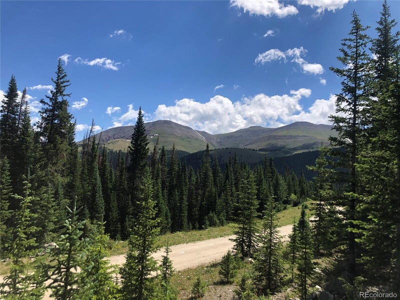 339 Cr 805 , Breckenridge, CO 80424