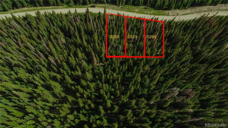339 Cr 805 , Breckenridge, CO 80424