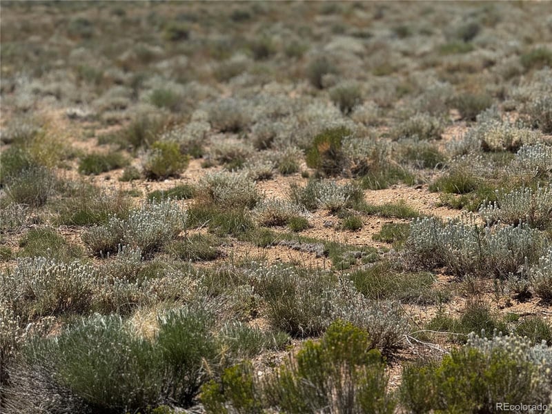 Lot 16 Rodger Rd, San Luis, CO 81152