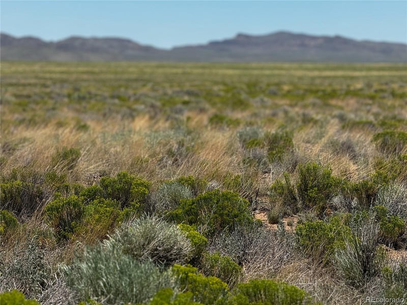 Lot 33 Gordon Rd, San Luis, CO 81152