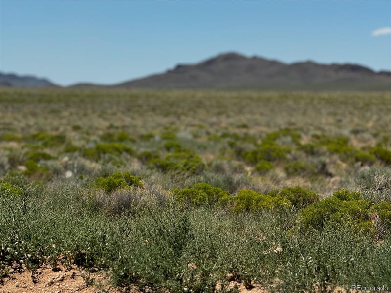 Lot 19 Nancy Blvd, San Luis, CO 81152