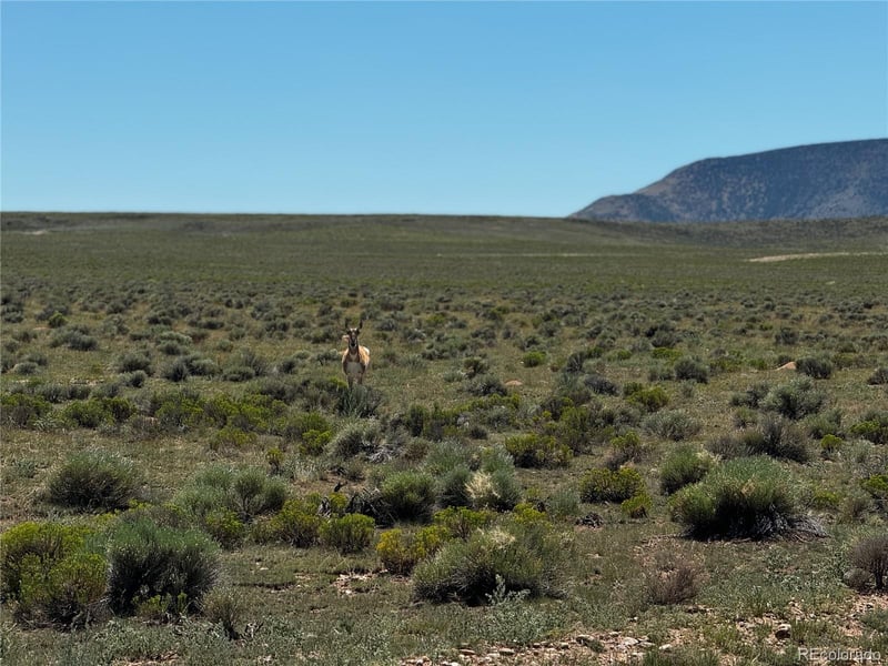 Lot 18 Russ Rd, San Luis, CO 81152