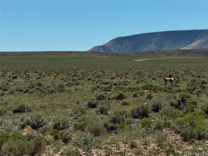 Lot 18 Russ Rd, San Luis, CO 81152