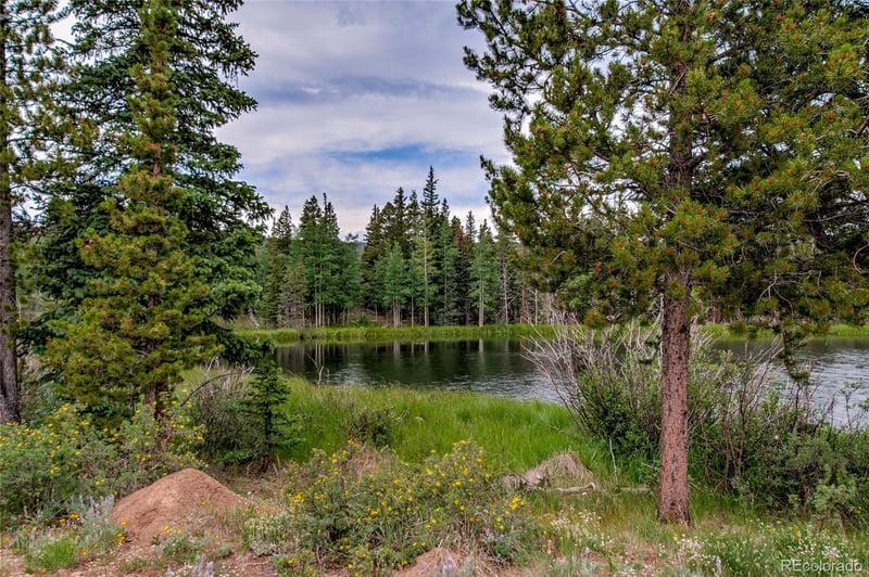 2784 Lakeside Dr, Fairplay, CO 80440