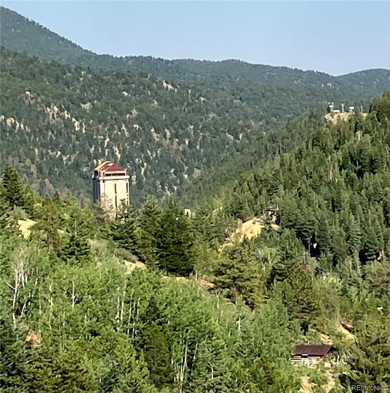 205 Casey St, Central City, CO 80427