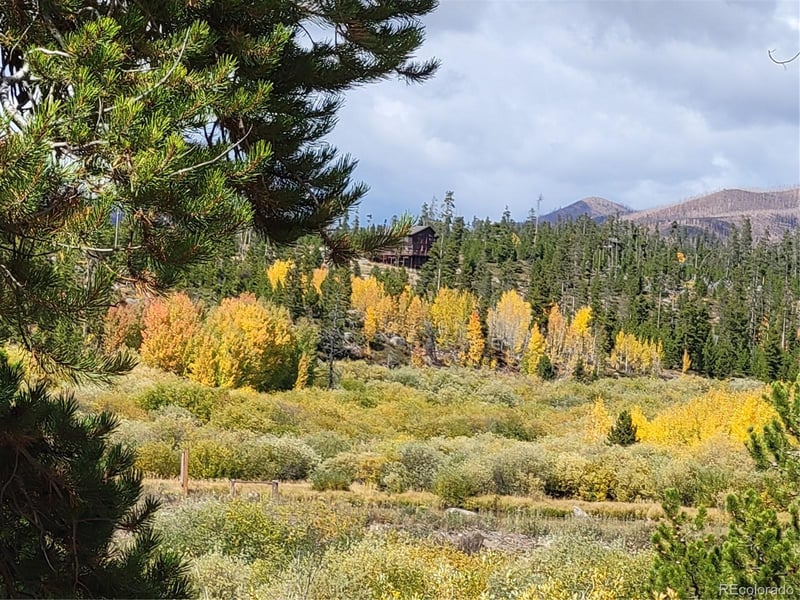 111 Gcr 4421 #29, Grand Lake, CO 80447