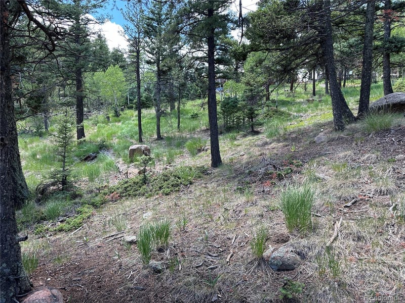 6860 Eagle Mountain, Manitou Springs, CO 80829