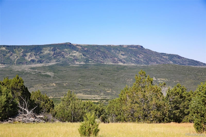 8066 Bosque Del Oso, Mesa, CO 81643