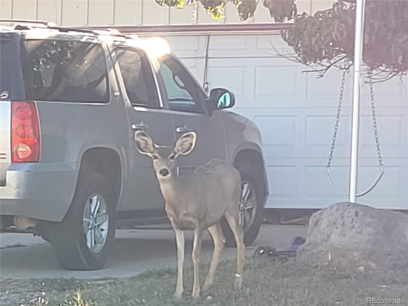 0000 Francisco Dr Lot 527, Colorado City, CO 81019