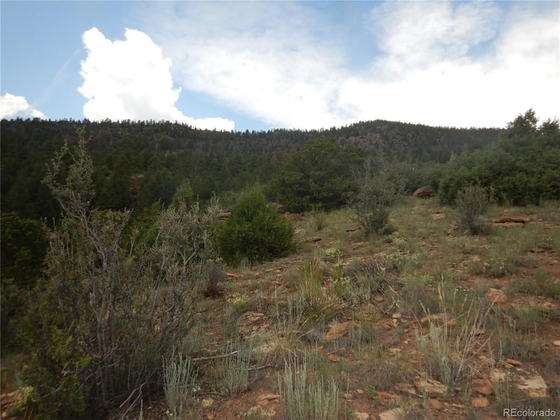 120 Fairway Ridge Ln, South Fork, CO 81154