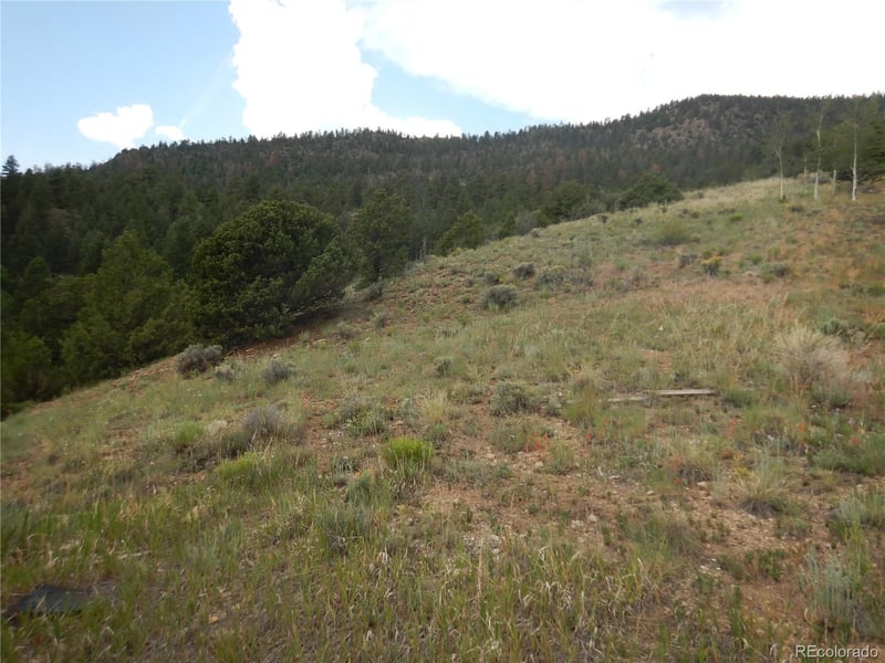 120 Fairway Ridge Ln, South Fork, CO 81154