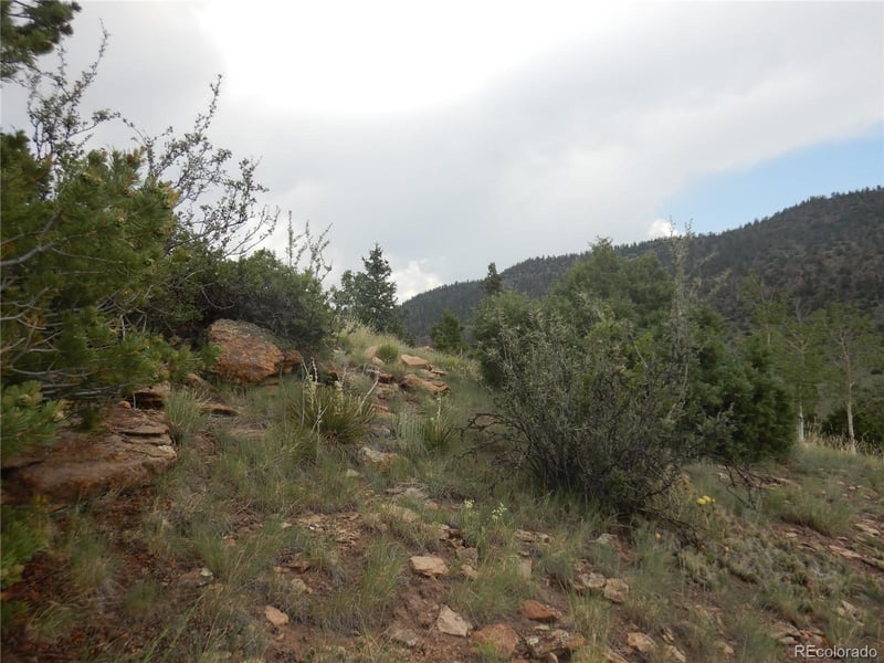 120 Fairway Ridge Ln, South Fork, CO 81154