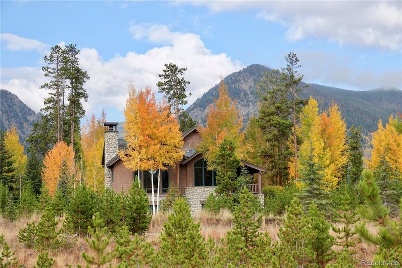 566 Water Dance Dr, Frisco, CO 80443