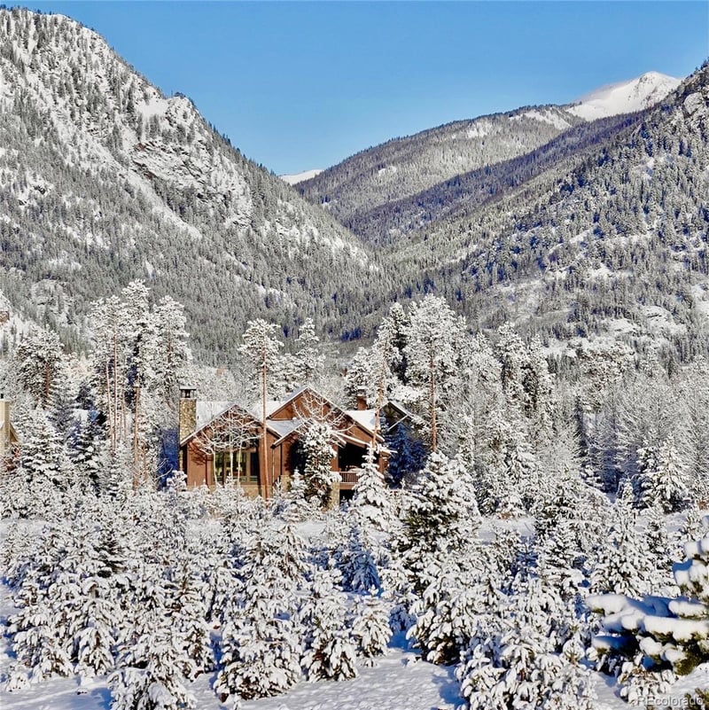 566 Water Dance Dr, Frisco, CO 80443