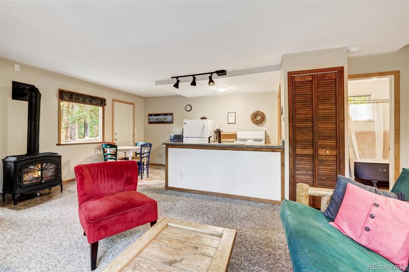 246 Peterson Dr, Alma, CO 80420