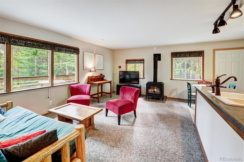 246 Peterson Dr, Alma, CO 80420
