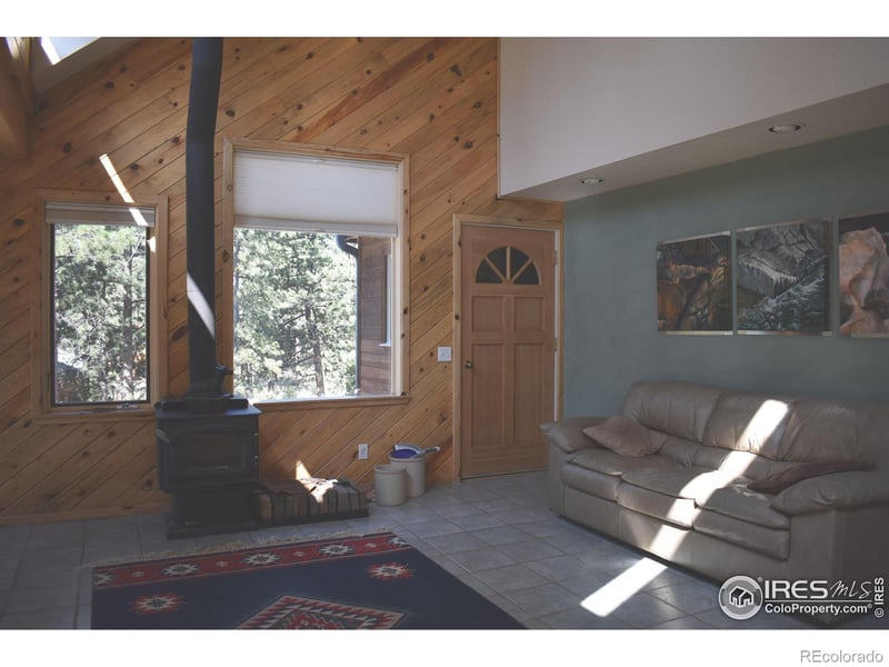 93 Bridger Trl, Ward, CO 80481