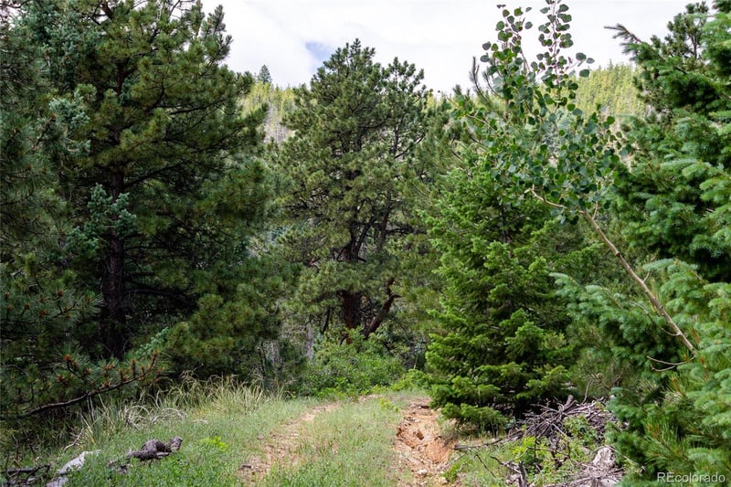 00 Goins Dr, Morrison, CO 80465