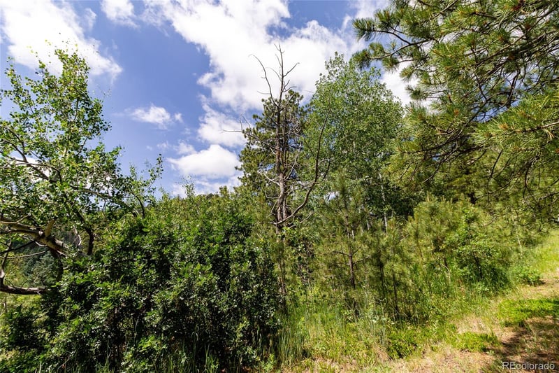 00 Goins Dr, Morrison, CO 80465