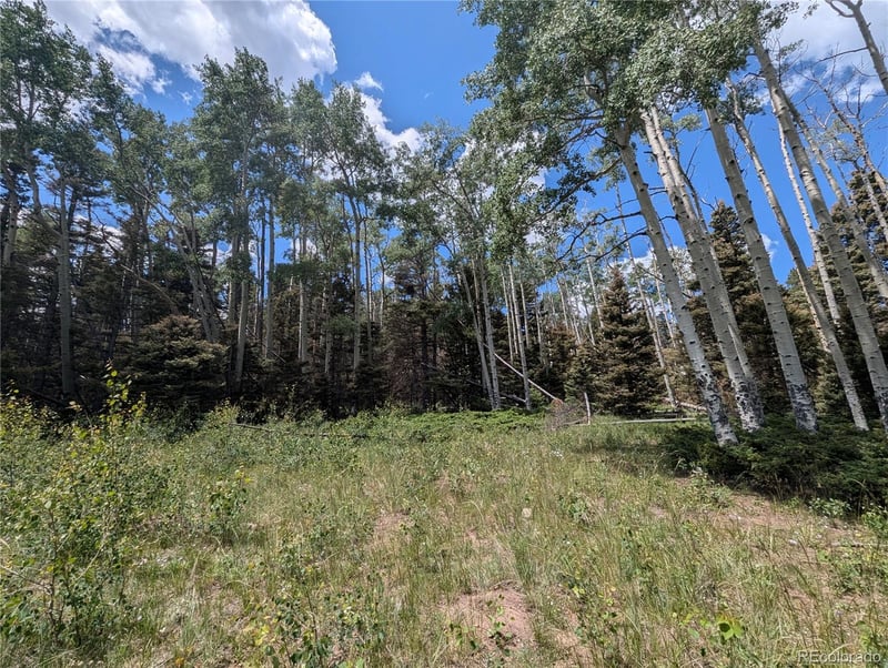 3070 Henderson Dr, Fort Garland, CO 81133