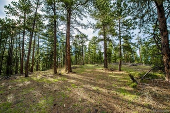 10250 Highway 73 , Conifer, CO 80433