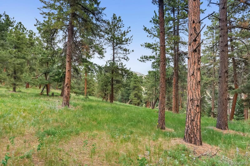10250 Highway 73 , Conifer, CO 80433