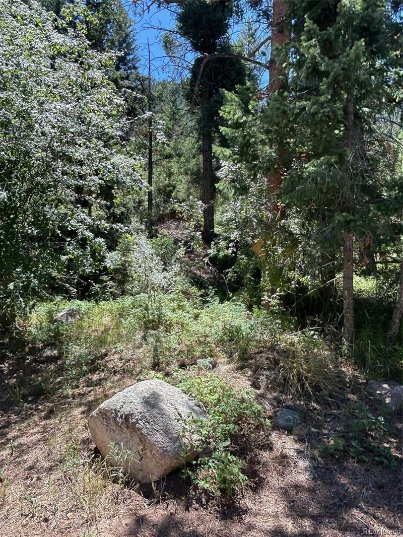 9465 Ute Rd, Cascade, CO 80809