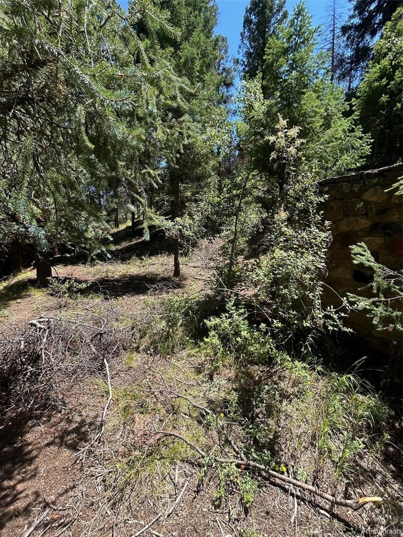 9465 Ute Rd, Cascade, CO 80809