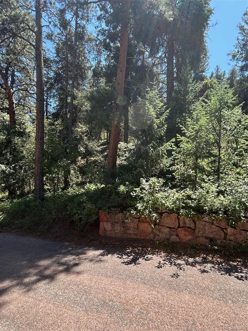 9465 Ute Rd, Cascade, CO 80809