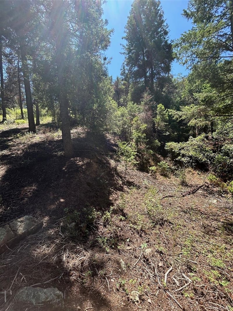 9465 Ute Rd, Cascade, CO 80809