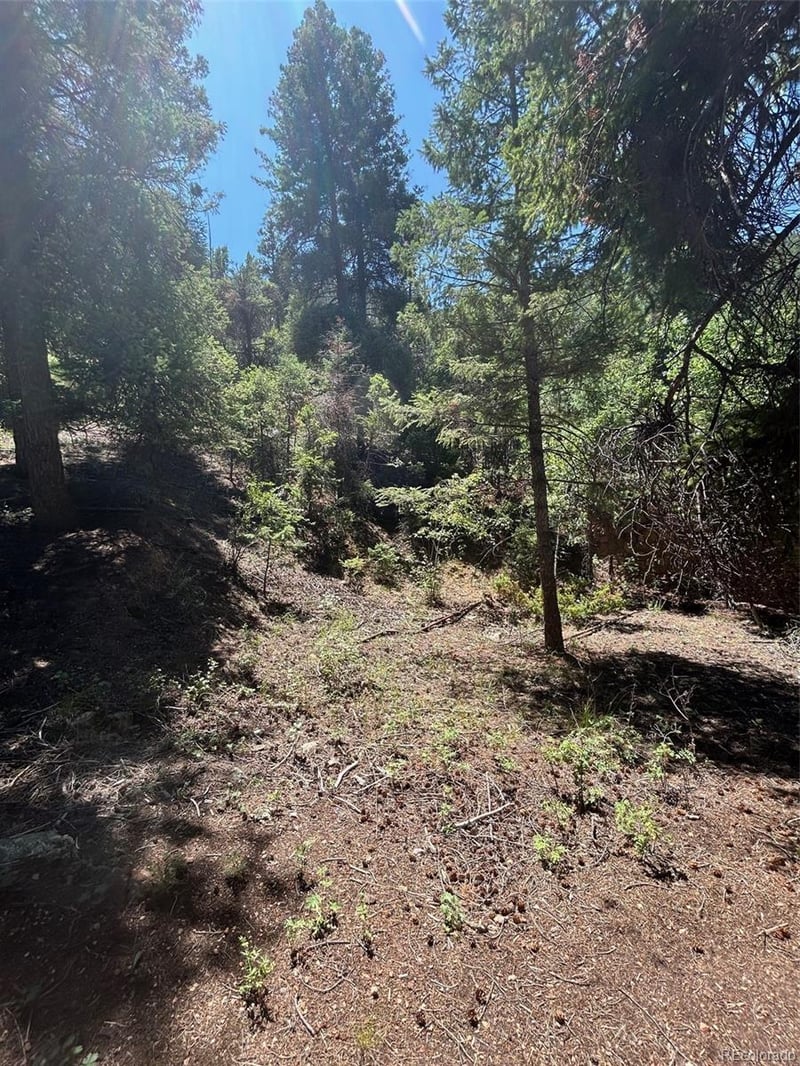 9465 Ute Rd, Cascade, CO 80809