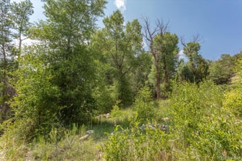 7920 Cozart Ln, Salida, CO 81201