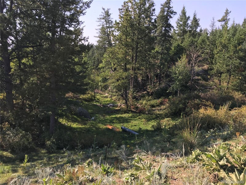 Peak View Rg Lot 3, Canon City, CO 81212