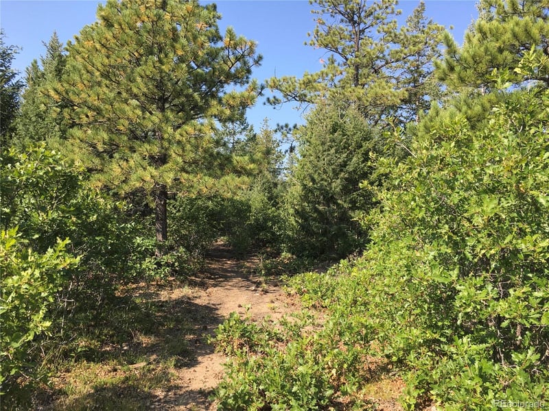 Peak View Rg Lot 3, Canon City, CO 81212